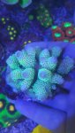 20180330_140853_resized.jpg