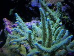 IMG_0857.jpg