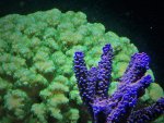 IMG_0858.jpg