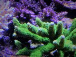 IMG_0859.jpg