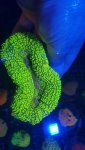 20180511_184353_resized.jpg