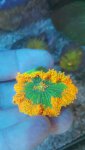 20180511_190128_resized.jpg