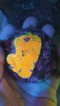 20180511_191149_resized.jpg