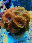 20180517_151143.jpg
