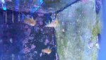 20180525_150912.jpg