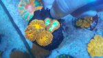 20180525_162623.jpg