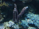 Afbeelding 029.jpg