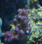 Afbeelding 050.jpg