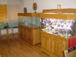 zeeaquaria 043.jpg