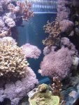 zeeaquaria 077.jpg