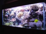 zeeaquaria 050.jpg