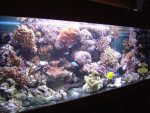 zeeaquaria 080.jpg