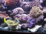 zeeaquaria 083.jpg