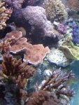 zeeaquaria 114.jpg