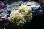 10.JPG