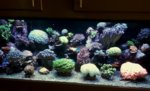 20180701_102056.jpg