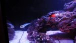 20180618_072619.jpg 20180618_072619.jpg