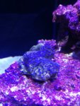 IMG_20180809_125318.jpg