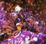 IMG_20180811_181234.jpg