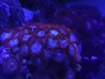 IMG_20180818_171940.jpg