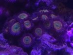 IMG_20180818_171903.jpg