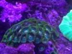 IMG_20180818_171844.jpg