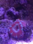 IMG_20180817_131556.jpg