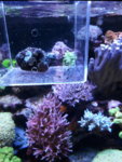 20180818_144345.jpg