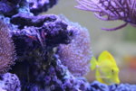 IMG_7771.JPG IMG_7771.JPG