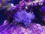 IMG_20180827_110912.jpg