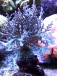 20180918_194624.jpg