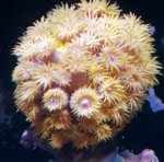 20180919_211958.jpg
