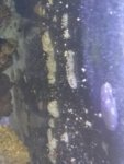 IMG_20181019_114402.jpg