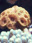 20181026_172657.jpg