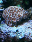 20181103_135452.jpg