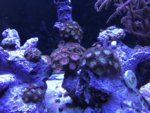 IMG_7732.JPG IMG_7732.JPG