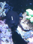 20181219_092148.jpg