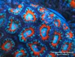 IMG_6754 (Medium).JPG