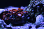 IMG_8013.JPG