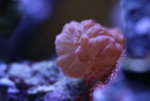 IMG_8039.JPG