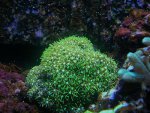 DSCN6758.jpg