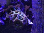 IMG_7762.JPG