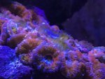 IMG_7760.JPG