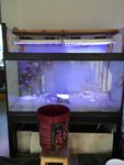 34ED1576-3E66-40B3-B1E0-E56EEFC0BE44.jpeg 34ED1576-3E66-40B3-B1E0-E56EEFC0BE44.jpeg