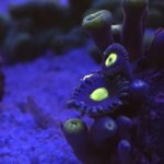 68E3876D-083D-4F48-AC85-78ADC3BC4429.jpeg