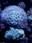 20190216_161059.jpg