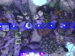 7C5D68CA-3D09-4A06-95C7-AA7ADF93582A.jpeg 7C5D68CA-3D09-4A06-95C7-AA7ADF93582A.jpeg