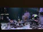 E54E089F-9E97-4940-A5E5-CD2BA642BFB5.jpeg
