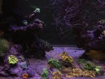 28B8FCF8-F909-445A-BA9A-34BC11C6D655.jpeg
