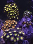 5B88638D-2D63-4CFB-A868-2E6098D4E332.jpeg